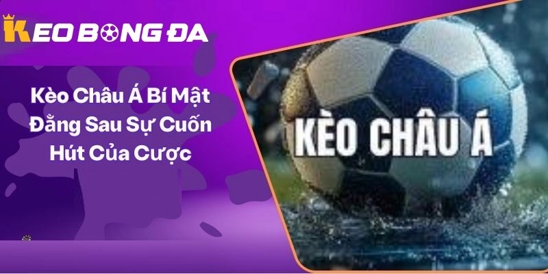 Các loại kèo trong bóng đá và kèo Châu Á