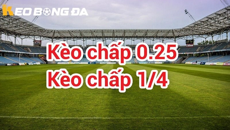 Các trường hợp thắng thua khi đặt kèo 1/4 tại Kèo Bóng Đá