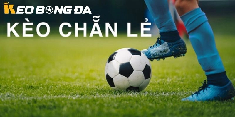 Cách đọc và hiểu Kèo Chẵn Lẻ tại Kèo Bóng Đá