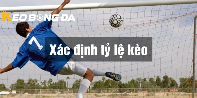 Cân nhắc tỷ lệ cược và giá trị tại Kèo Bóng Đá