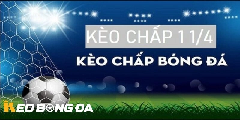 So sánh kèo 1/4 tại Kèo Bóng Đá với các kèo khác