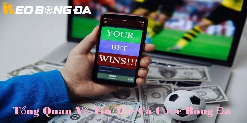 Tổng quan về tin tức cá cược bóng đá