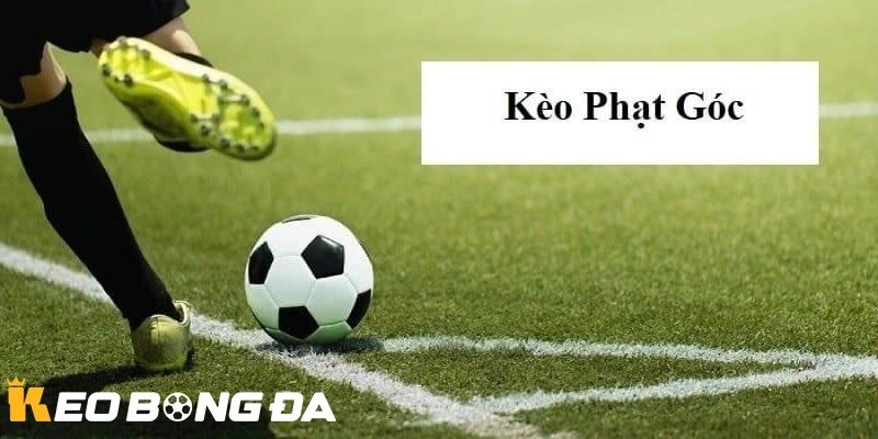 Kèo phạt góc tại Kèo bóng đá