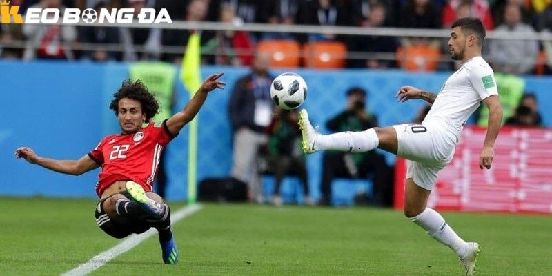 Mẹo soi kèo World Cup 2026 từ chuyên gia